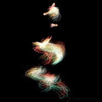 /album/feux/frida-dumont-img-9603-jpg/